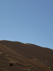 Duny v poušti Wahiba