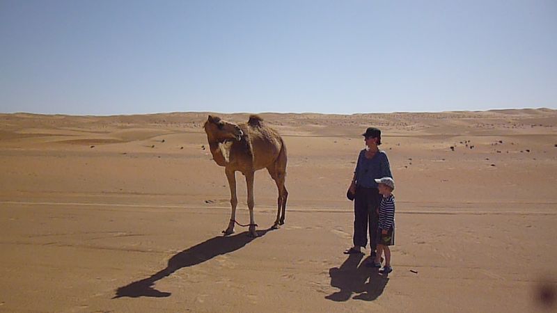 Duny v poušti Wahiba