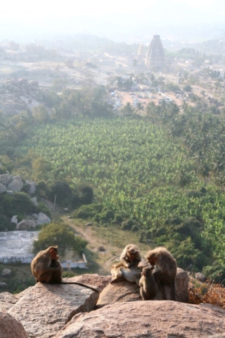 Skály a opice nad Hampi. Vše je na několika kilometrech čtverečních.
