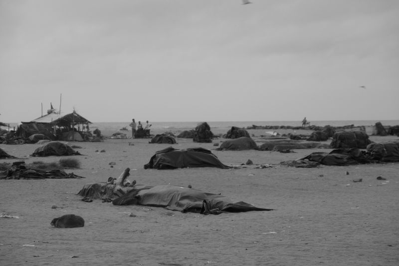 Sri Lanka Rybářská pláž Negombo