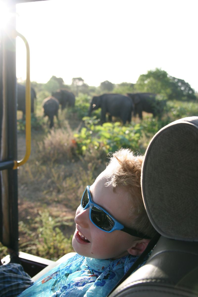 Safari je safari, ale únava je únava