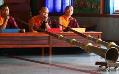 CESTOPIS INDIE ČÁST 3: Jižní Indie ráj buddhismu?