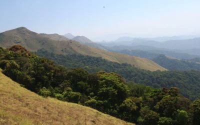 CESTOPIS INDIE ČÁST 2: Kávové plantáže a krásné hory ve státě Karnataka