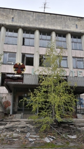 Stačí 30 let a příroda v Černobylu převzala vládu