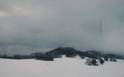 9. nejvyšší vrchol Českého středohoří – Buková hora